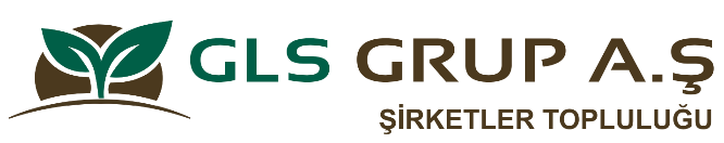 GLS Grup ERP